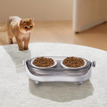 Pet Feeding Set Raised Edge Non-Slip Bowls Spill-Proof for Home
