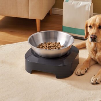 Elevated Dog Bowls with Stand, Stainless Bowl for Easy Feeding, 2 Options