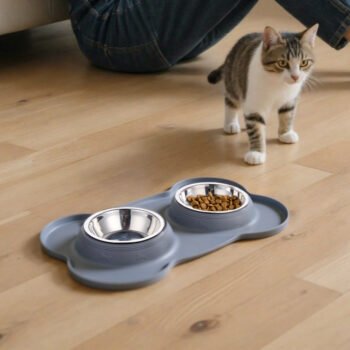 Double Dog Bowls with Non-Slip Mat Tray, Mess-Free Feeding for Small Pets